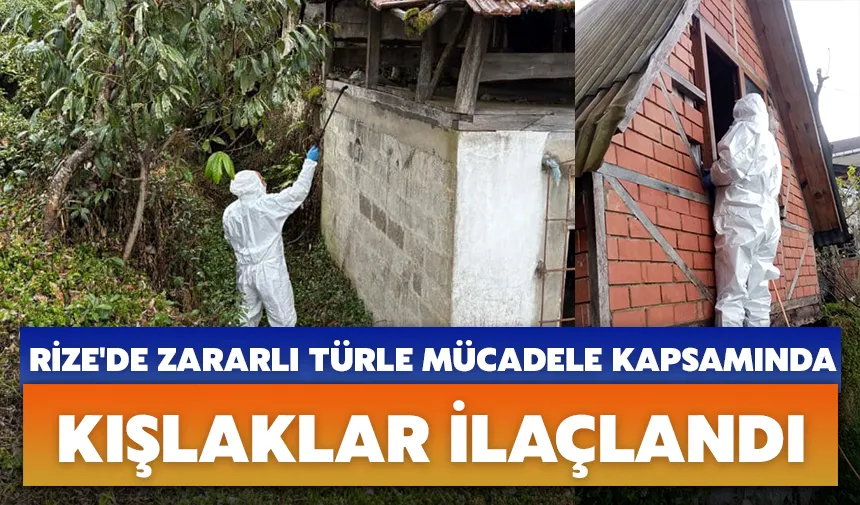 Rize'de zararlı türle mücadele kapsamında kışlaklar ilaçlandı