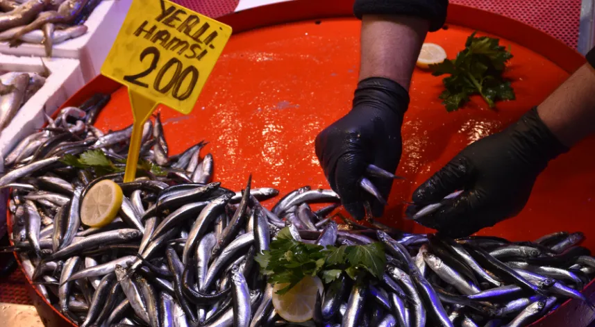 Trabzon'da hamsinin kilogramı 150 ile 200 lira arasında satışa sunuluyor