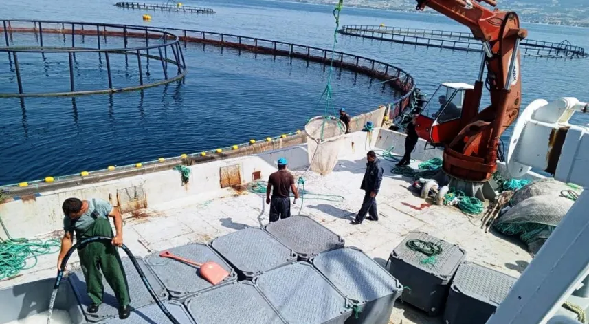 Hayvansal ürün ve su ürünleri üretimi döviz olarak ülke ekonomisine geri döndü