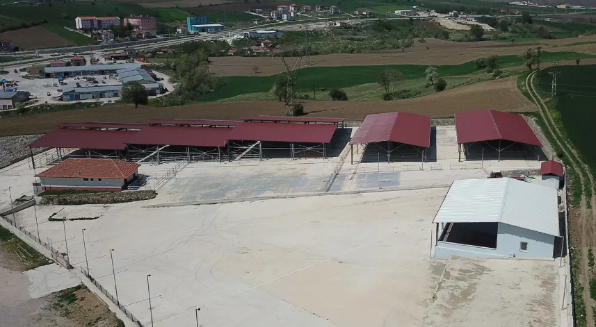 Havza'da canlı hayvan pazarı tedbiren kapatıldı