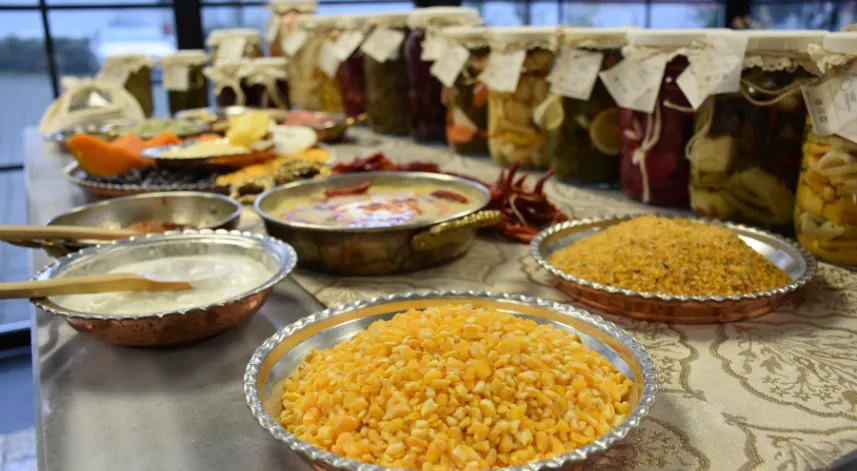 Usta öğreticilerin araştırdığı 