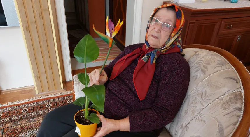 'Canlı' diye aldığı çiçek ‘plastik' çıkınca BİM'i savcılığa şikayet etti