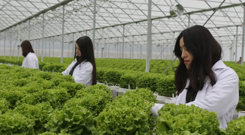 Bafra Sera OSB'de üretim başladı