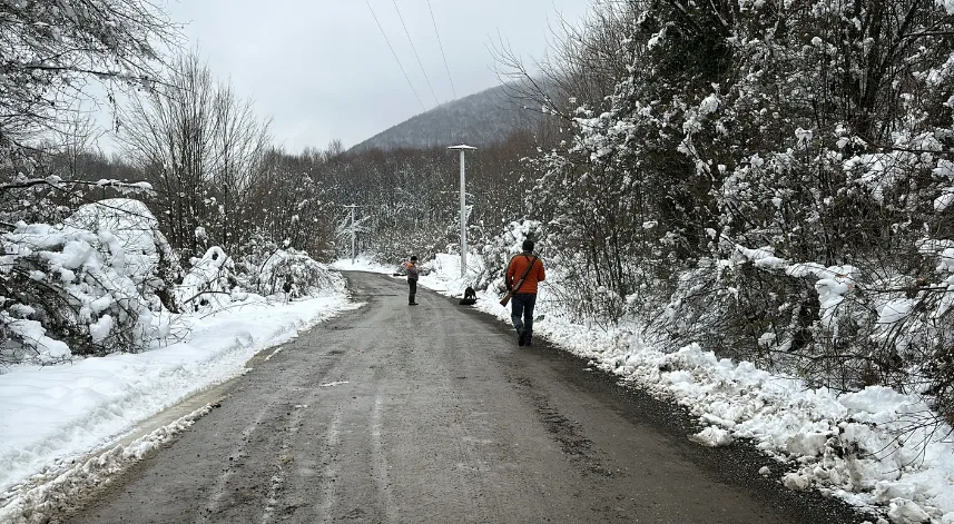 Köylüler domuz nöbetinde