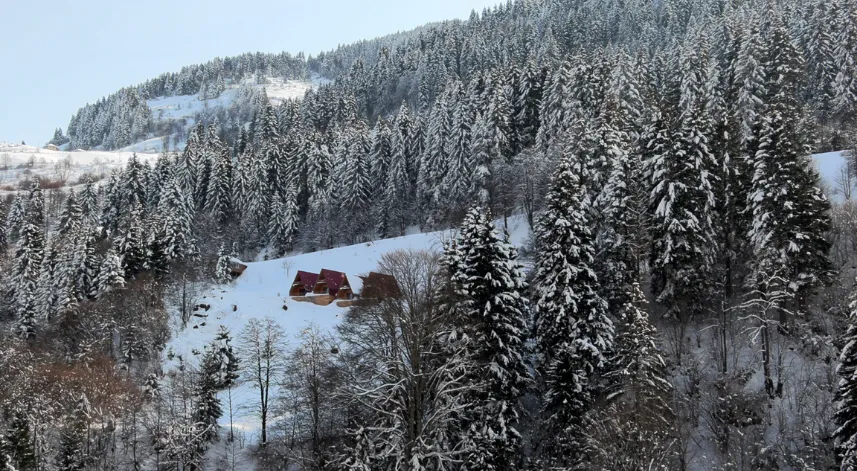 Zigana Dağı’nda kar güzelliği
