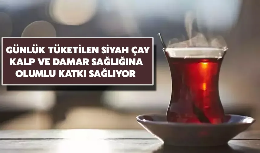 Günlük tüketilen siyah çay, kalp ve damar sağlığına olumlu katkı sağlıyor 
