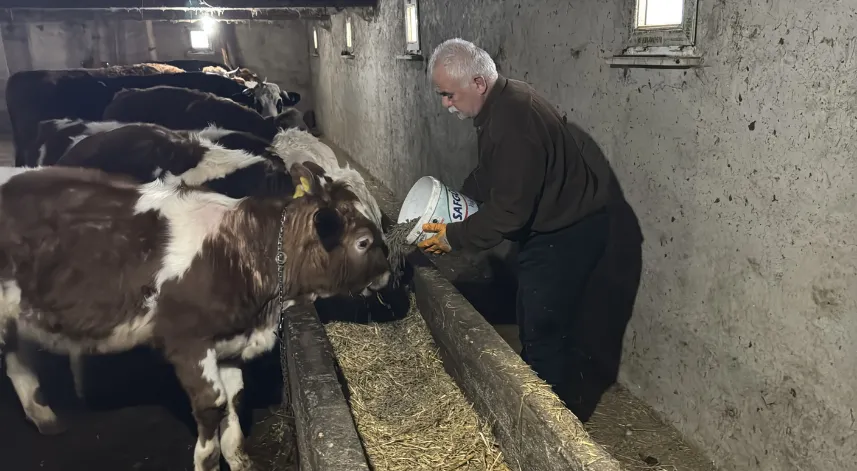 Doğal süt ürünleriyle beslenmek için bıraktığı hayvancılığa yeniden başladı