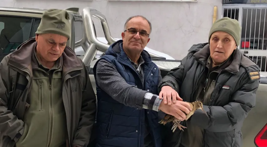 Emekli sağlıkçı karda aç kalan çulluğa sahip çıktı