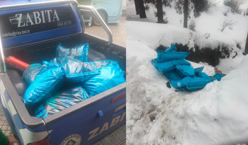 Rize Belediyesinden İhtiyaç Sahibi Ailelere Odun Ve Kömür Yardımı