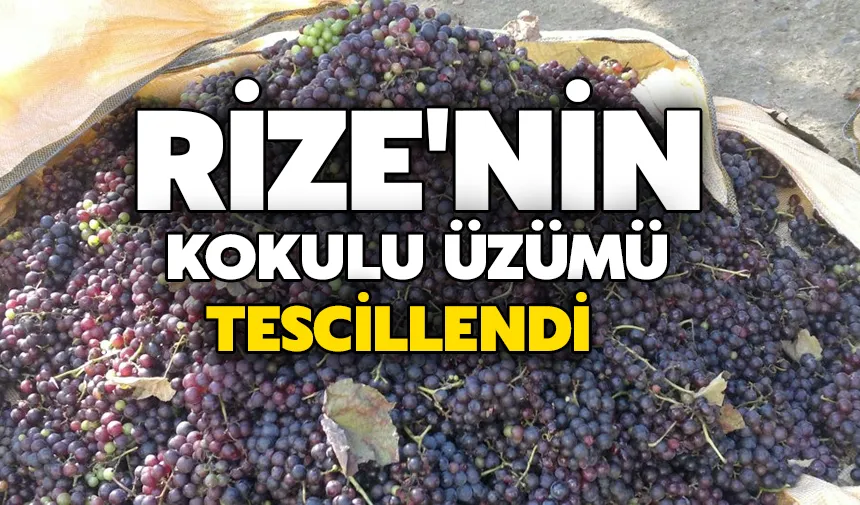 Rize'nin kokulu üzümü tescillendi