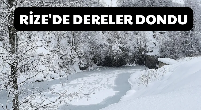 Rize'de soğuk hava nedeniyle dereler dondu