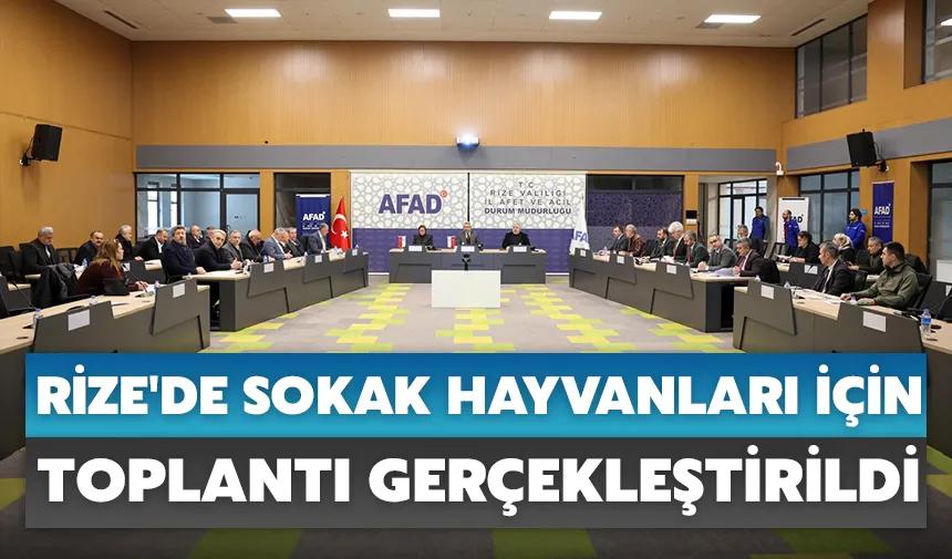 Rize'de sokak hayvanları için toplantı gerçekleştirildi