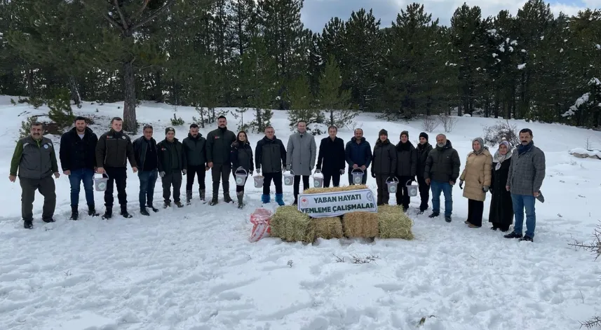 Yaban hayvanları için karla kaplanan ormanlara yem bıraktılar