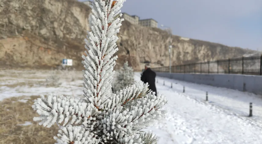 Göle eksi 32,1 derece ile rekor kırdı: Türkiye'nin en soğuk yerleşim yeri oldu