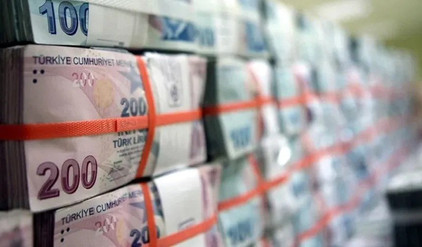 Bankalarda unutulan yaklaşık 507 milyon lira 2024'te TMSF'ye aktarıldı