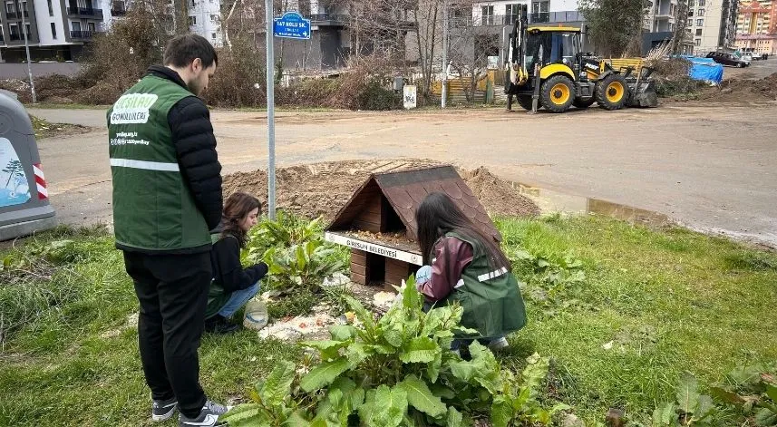 Giresun'da Yeşilay gönüllülerinden hayvanlara mama desteği