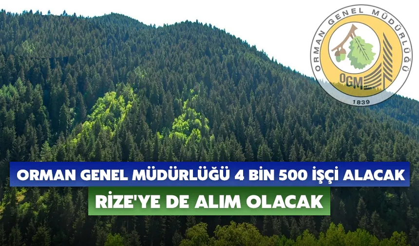 Rize, Artvin ve Trabzon'da orman işçisi alımı yapılacak