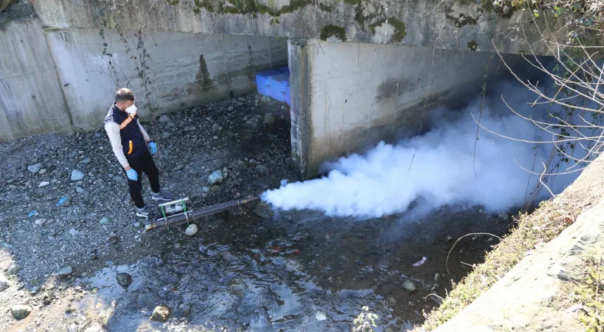 Rize Belediyesi, sivrisinekler için çalışmalara başladı