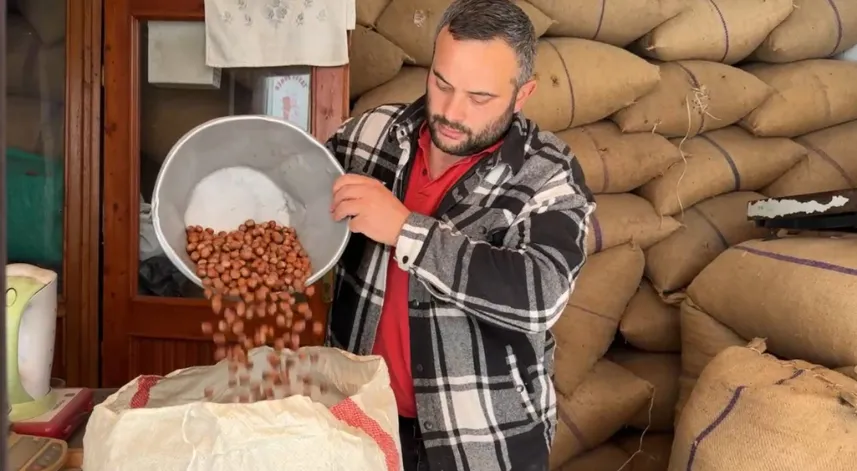 Fındık fiyatları rekor seviyeye ulaştı