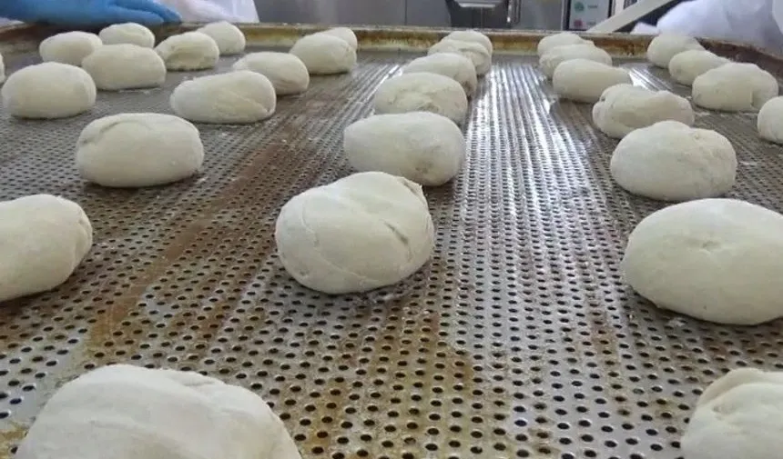 Hem meslek öğreniyorlar hem de kazanç sağlıyorlar