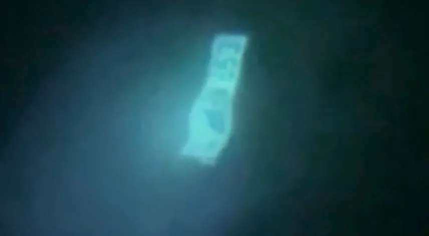 Denize düşen otomobil suya gömüldü, sürücü kendi imkanları ile kurtuldu