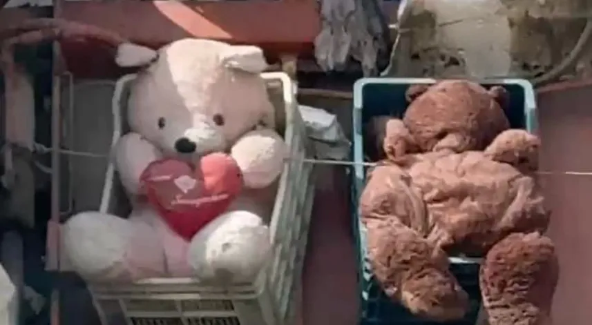 Çöp kamyonuna bakan hayrete düştü