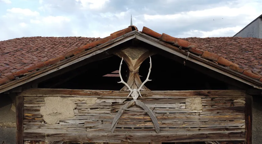 'Geyik Boynuzlu Ev', Zile'deki tek örnek