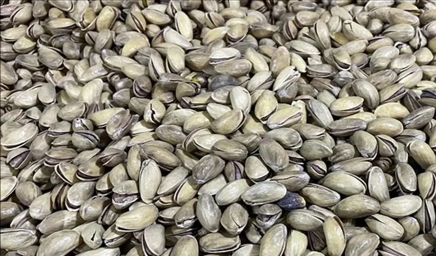 ıstık için lisanslı depo inşa ediliyor