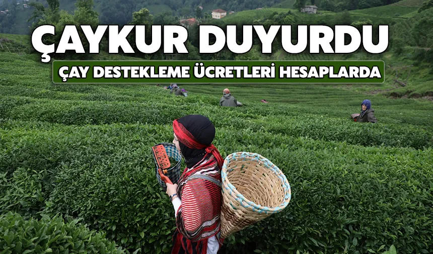 ÇAYKUR'da destekleme primi açıklaması