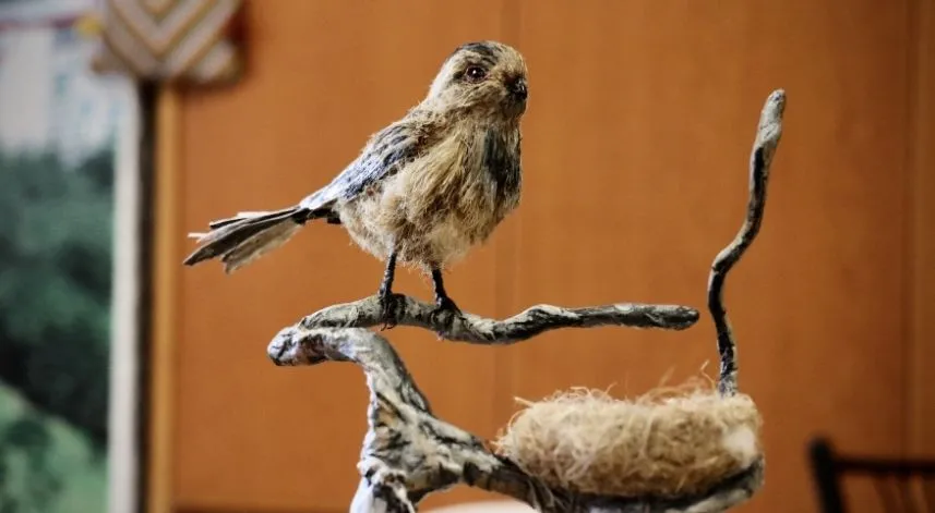 Kenevir lifleri ve atıkları kadınların ellerinde sanata dönüşüyor