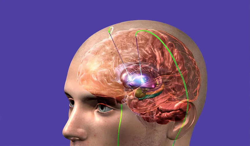 Beyin pili, psikiyatrik hastalıklarda da kullanılacak