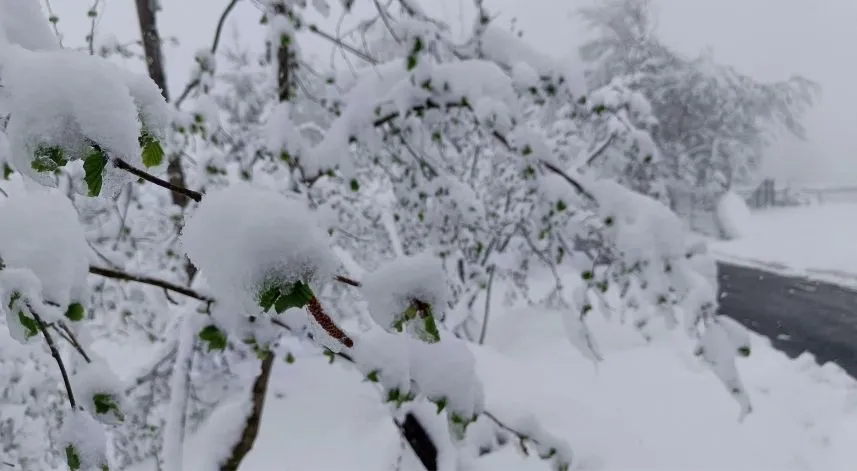 Meteorolojiden Ordu için 'sarı kodlu' uyarı