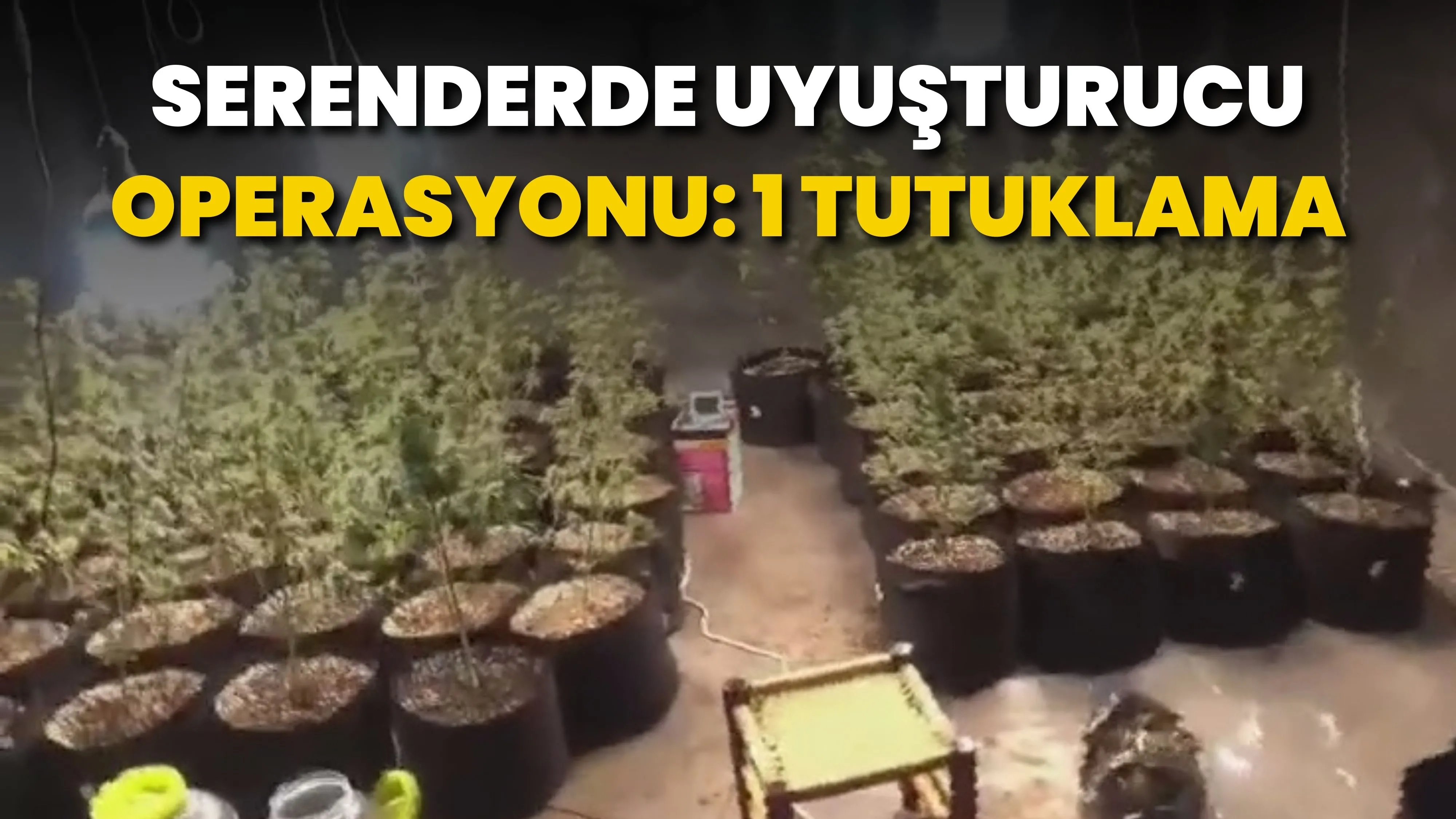 Serenderde uyuşturucu operasyonu: 1 tutuklama