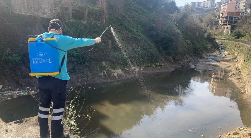 Büyükşehir Belediyesi vektörle mücadelede yaza hazır