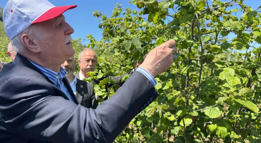 Zirai donda yüzde 70 ile yüzde 100’ler mertebesinde hasar var