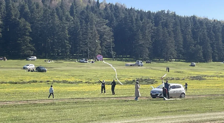Bolu'daki yaylalar doğayla iç içe vakit geçirmek isteyenleri ağırlıyor