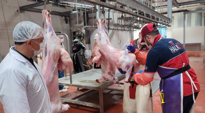 Çorum Belediyesi’nin online kurban kesim randevu sistemi 9 Mayıs’ta açılıyor