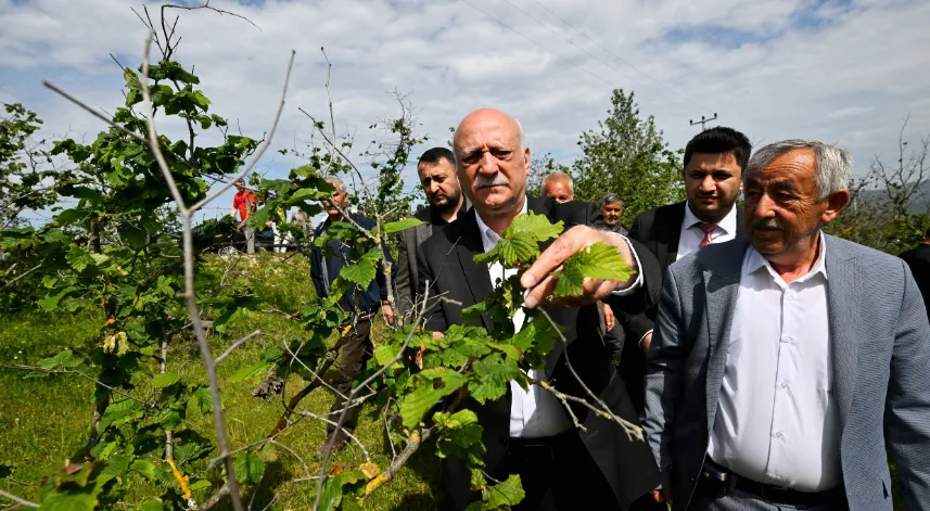 Bayraktar, Düzce'de zirai dondan etkilenen bahçelerde incelemede bulundu