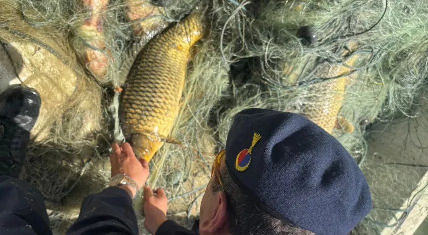  Ağa takılan balıkları jandarma kurtardı