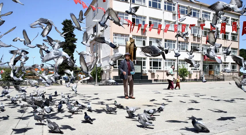 Karadenizli ihtiyar delikanlı, güvercinleri beslemeyi bir gün bile aksatmıyor