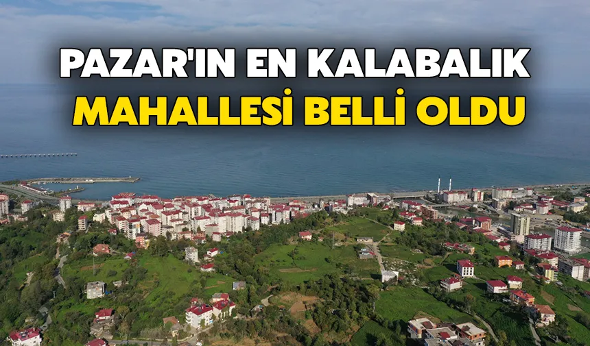Pazar'da nüfusun en fazla olduğu mahalle belli oldu