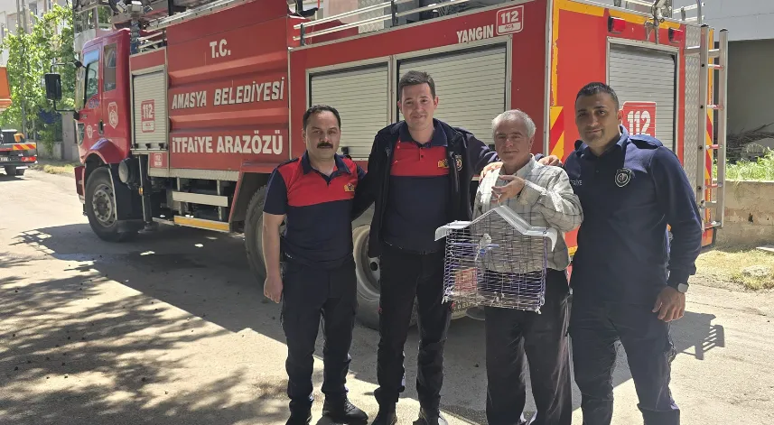 Kaçan muhabbet kuşunu yakalamak istedi, ağaçta mahsur kaldı