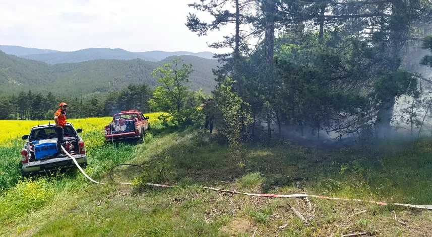 Yıldırım düşen ormanda çıkan yangın söndürüldü