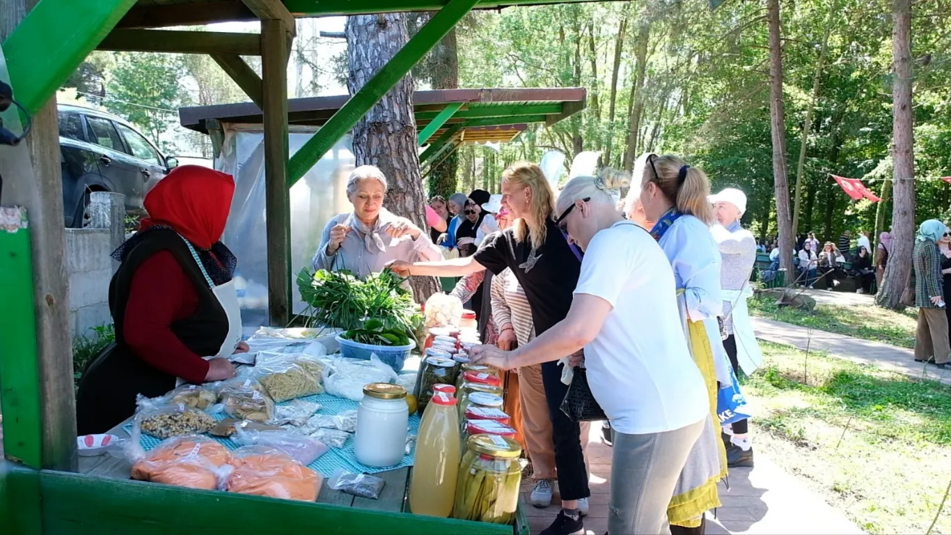 Samsun’da ‘Yöresel Ot Yemekleri Festivali’ başladı