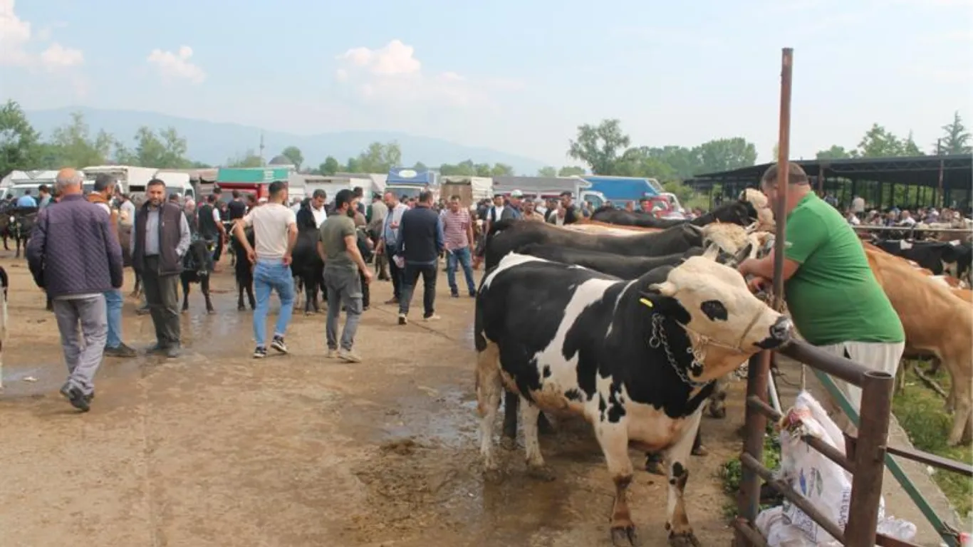 Kurban Bayramı öncesi denetim yapıldı