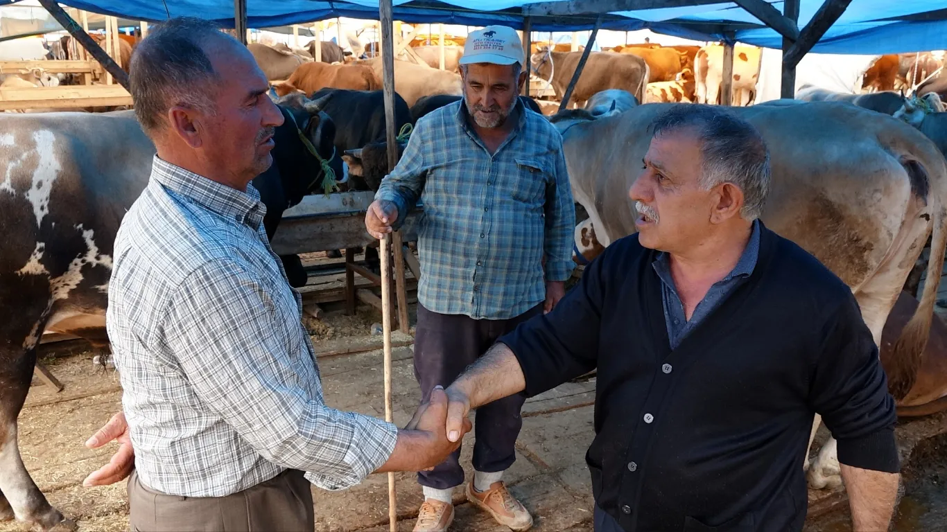 Trabzon’da kurbanlıkların yarısı alıcı buldu