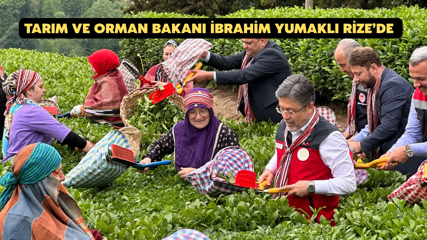 Tarım Ve Orman Bakanı İbrahim Yumaklı Rize’de Çay Sektörünü Değerlendirdi