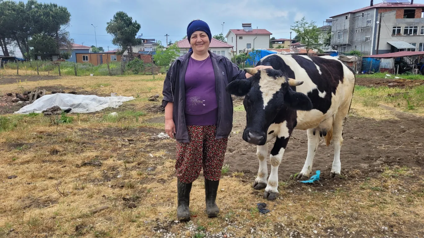 Üç buzağıyla başladı, çiftçi kredisiyle hayvan sayısını 28'e çıkardı