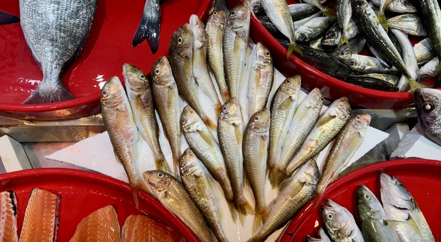 Trabzon'da balıkçı tezgahlarında bolluk yaşanıyor