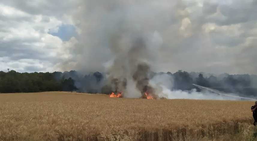 30 dönümlük buğday tarlası küle döndü